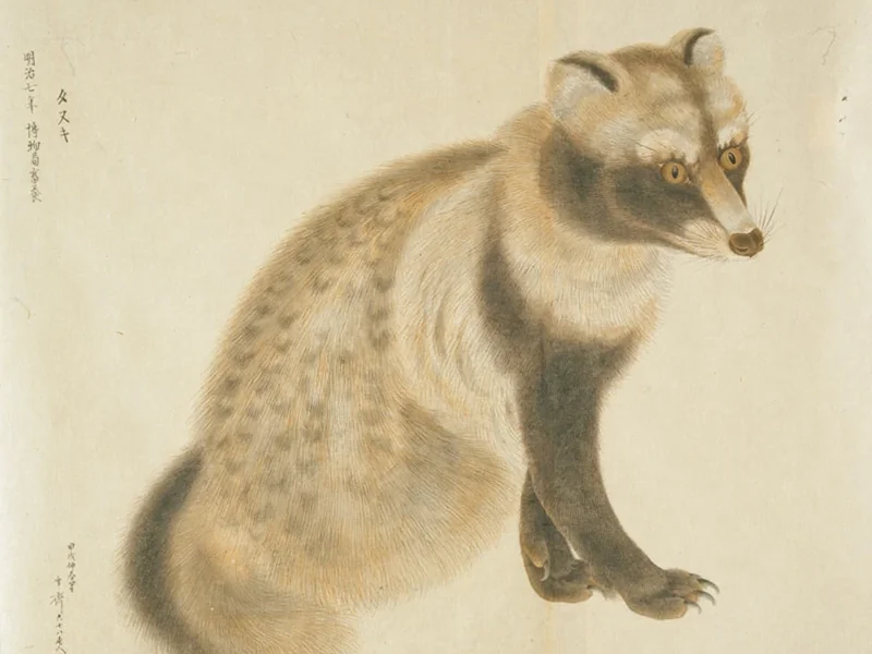1832-Nakajima Gyōzan - Cane procione